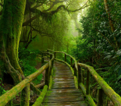 meghalaya