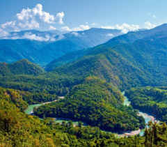 nagaland